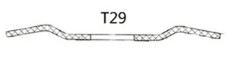 T29 T29